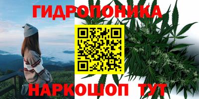 индика Рыбинск