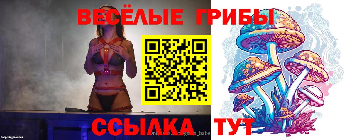 Санкт-Петербург  Галлюциногенные грибы прущие грибы  Вход с VPN 